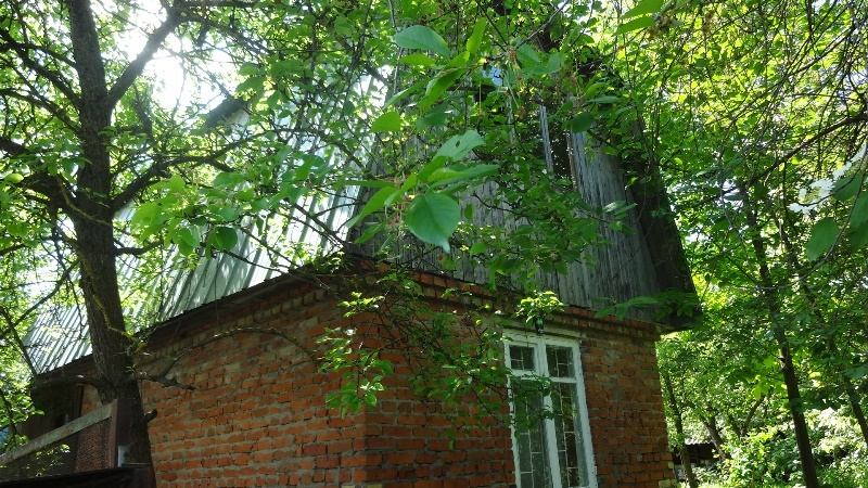 Участок, 4.1 сот. - фото 4
