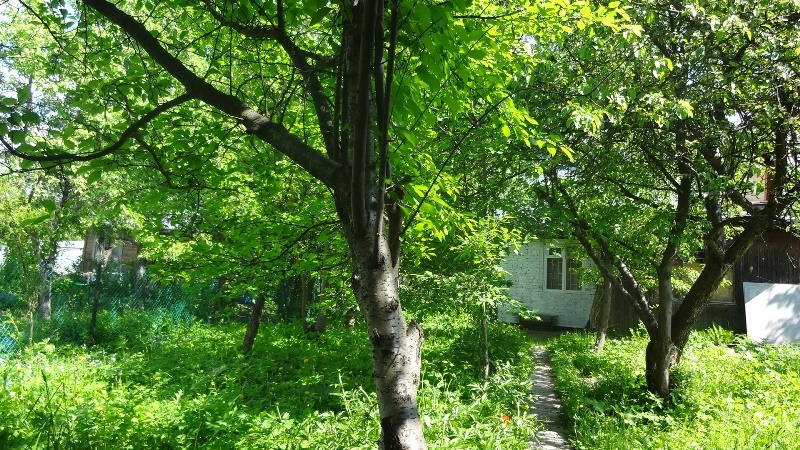 Участок, 4.1 сот. - фото 15