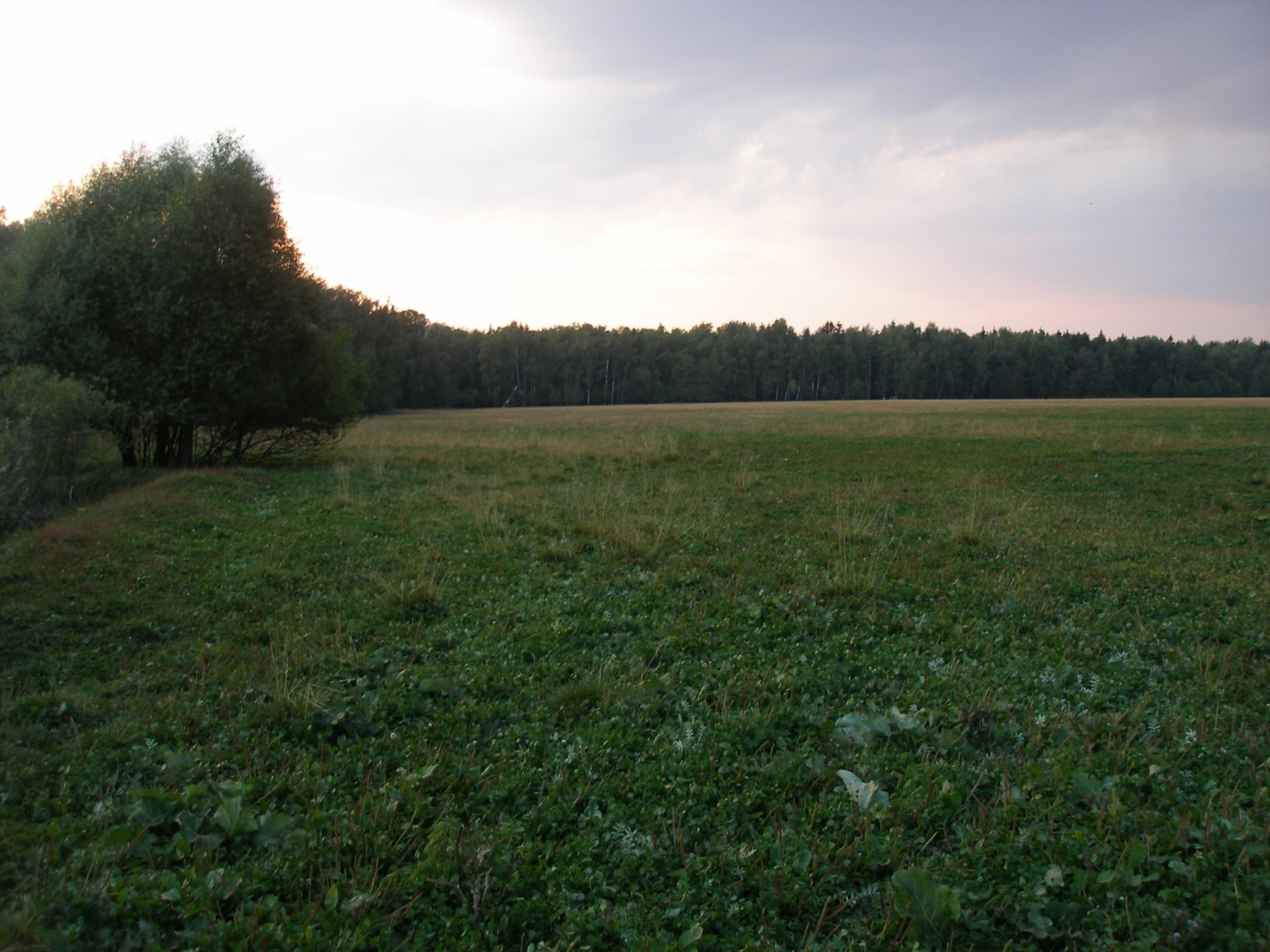 Участок, 1200 сот. - фото 2