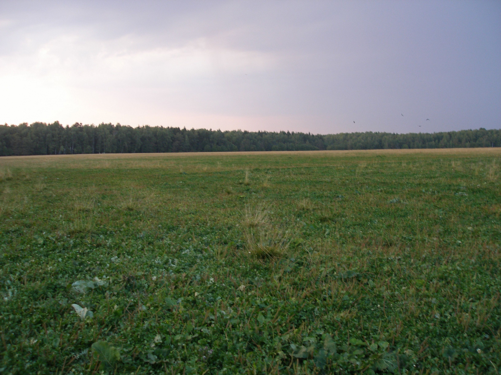 Участок, 1200 сот. - фото 3
