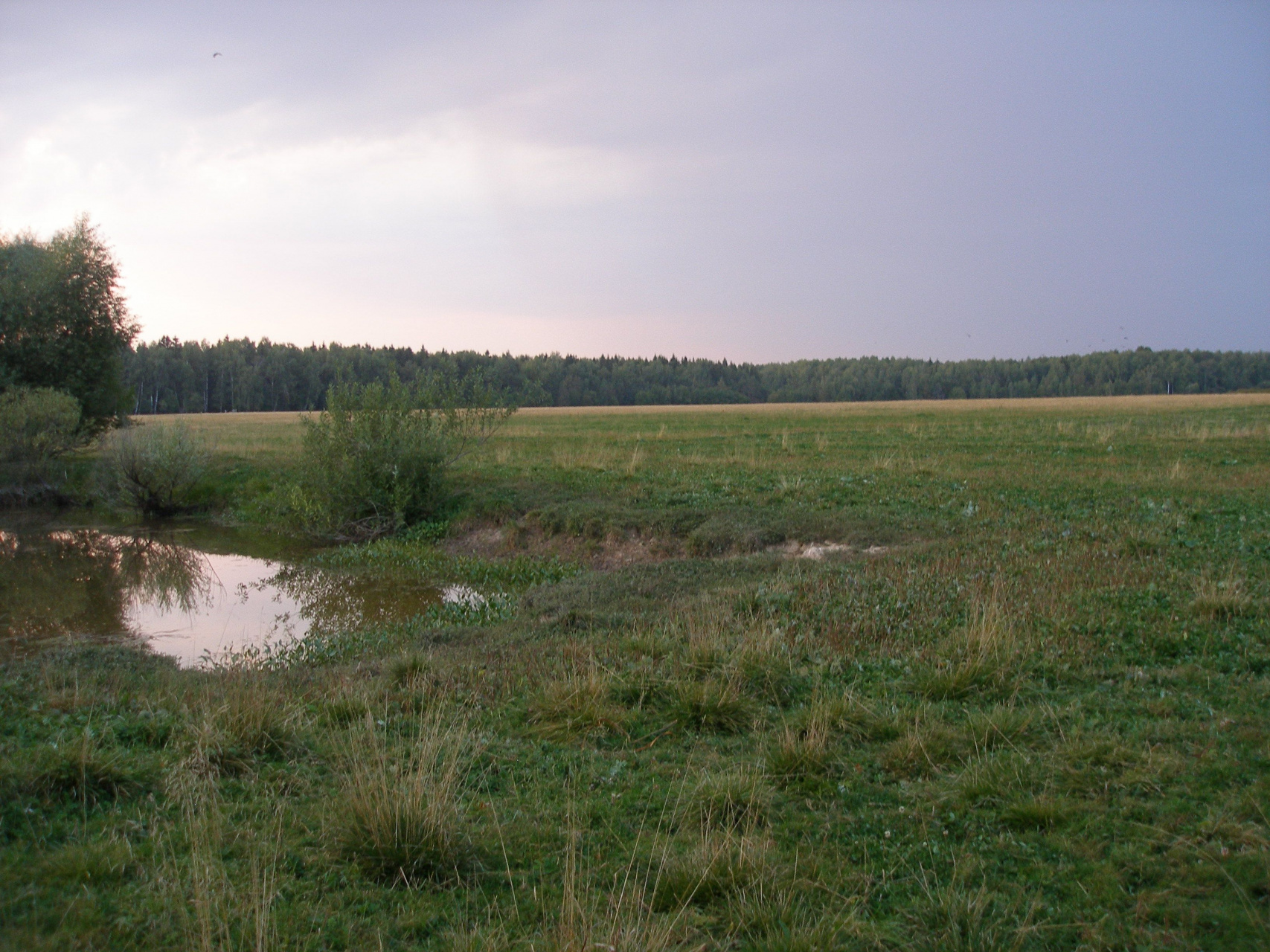 Участок, 1200 сот. - фото 4