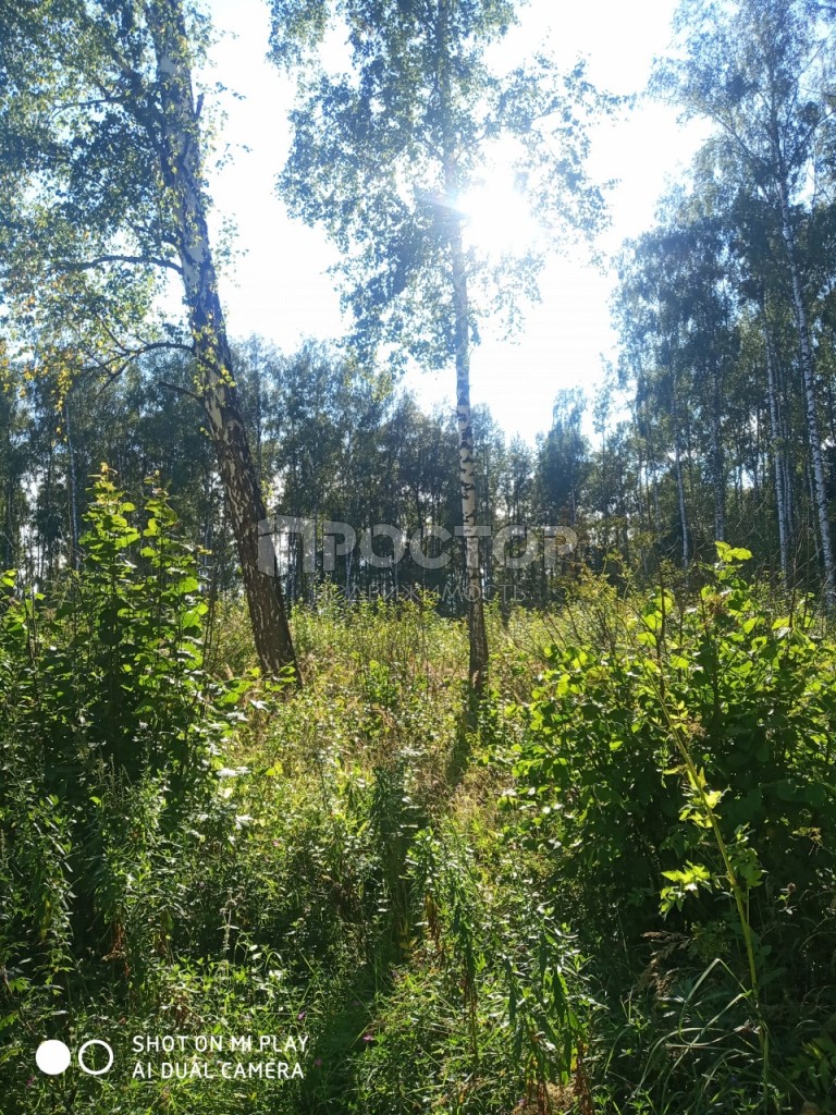 Участок, 15 сот. - фото 3