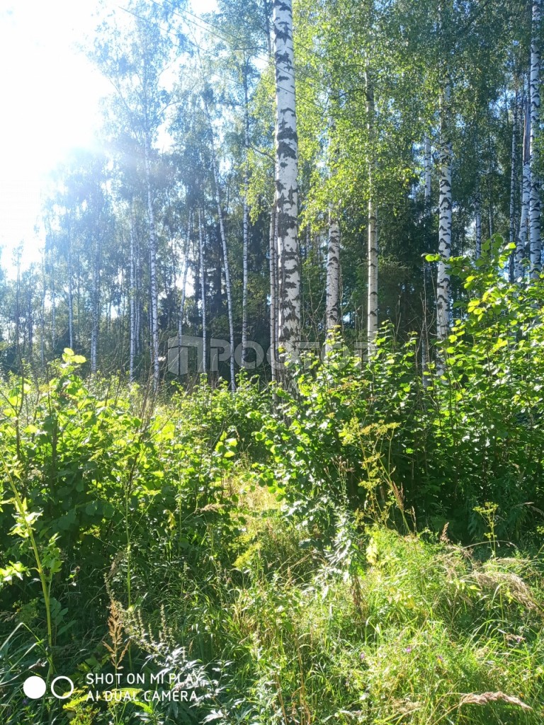 Участок, 15 сот. - фото 2