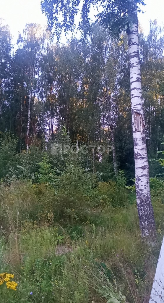 Участок, 15 сот. - фото 9