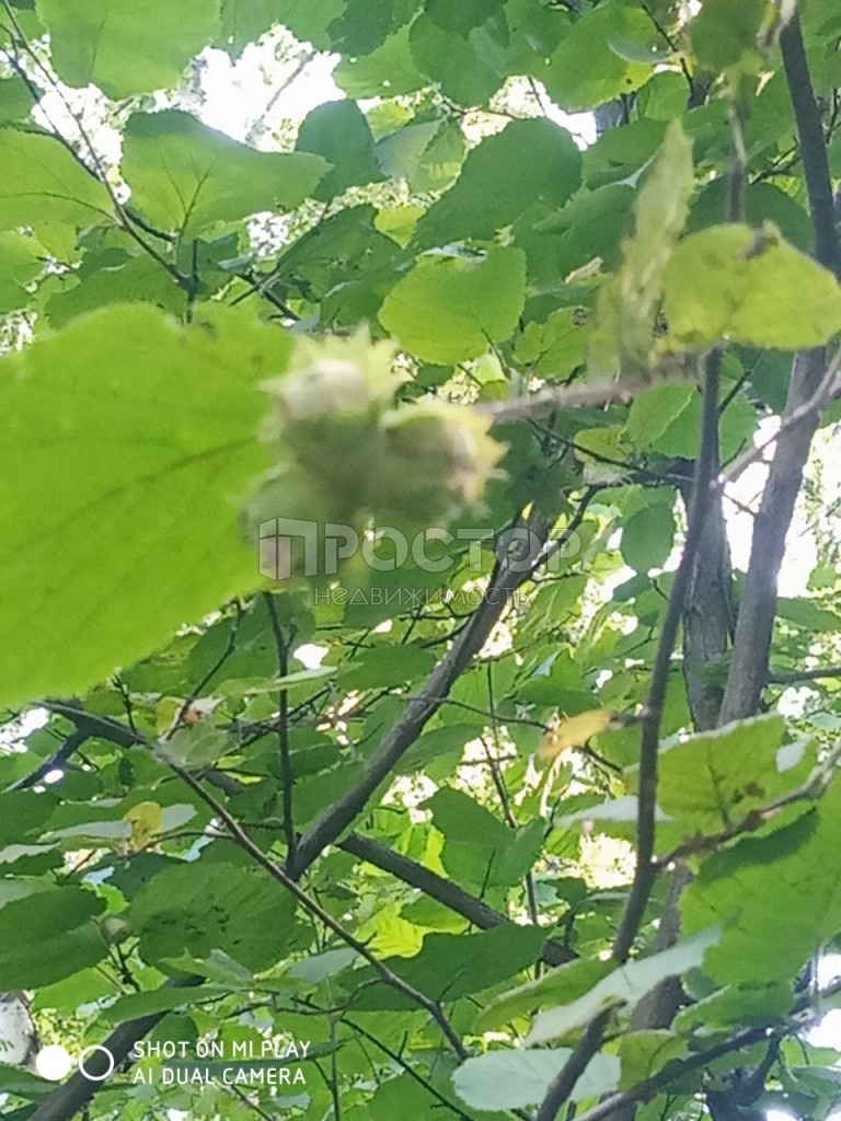 Участок, 15 сот. - фото 4
