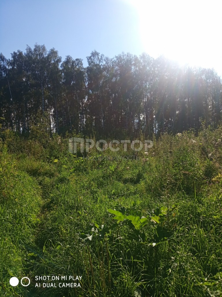 Участок, 15 сот. - фото 15