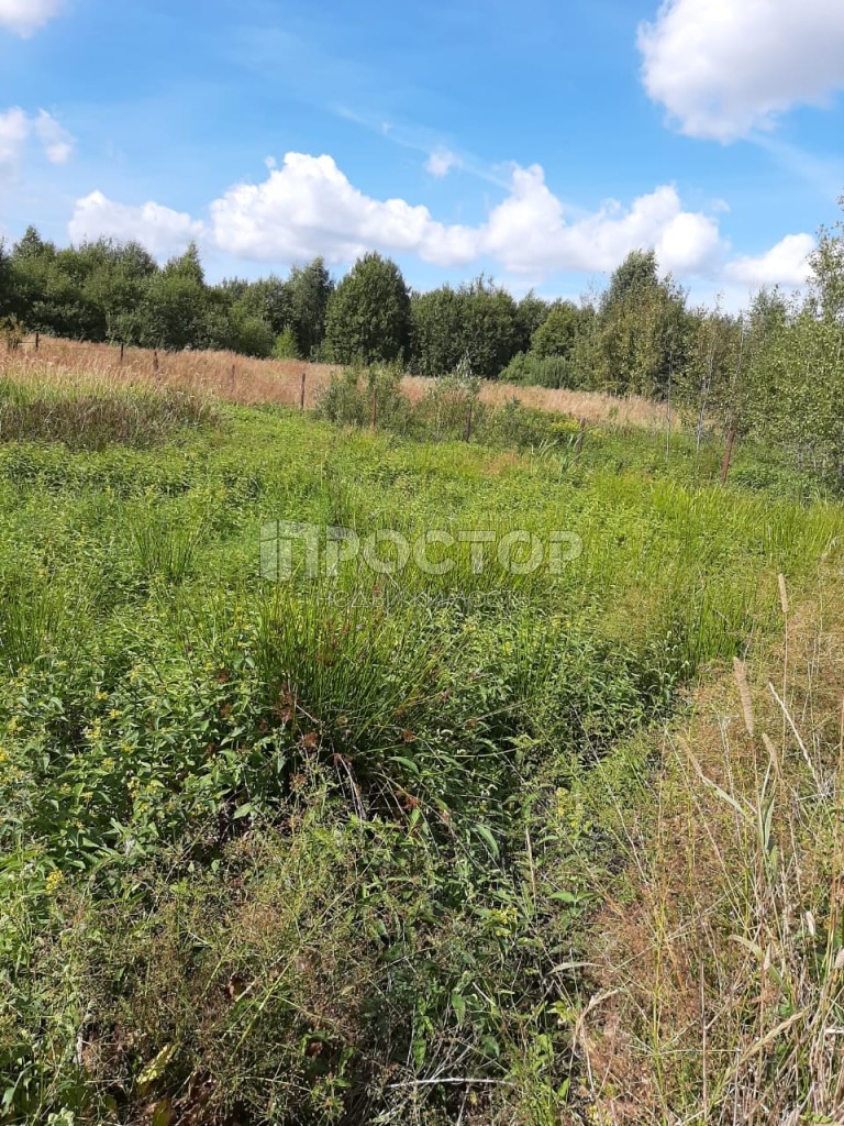 Участок, 10 сот. - фото 7