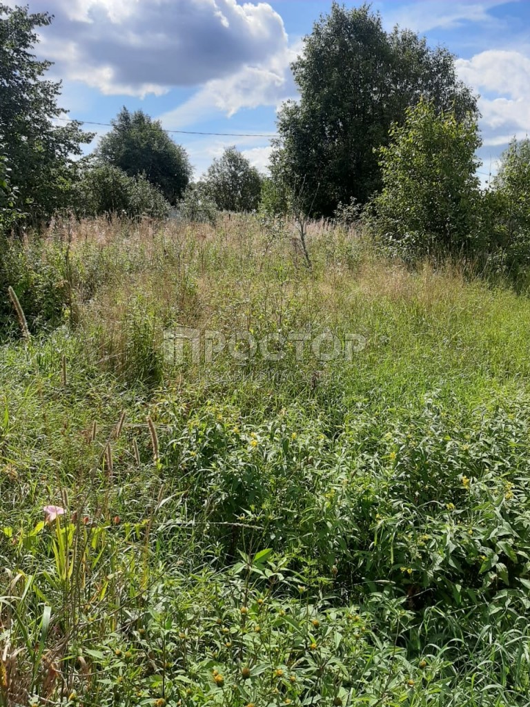 Участок, 10 сот. - фото 8