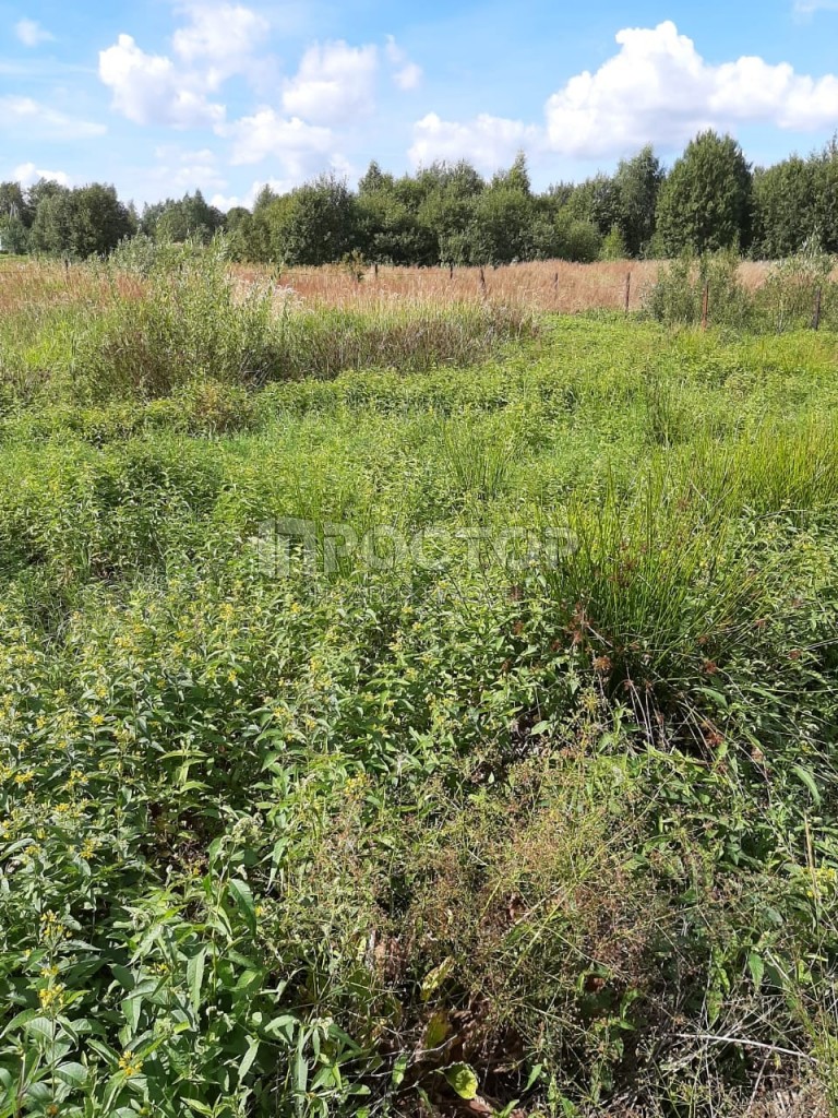 Участок, 10 сот. - фото 6
