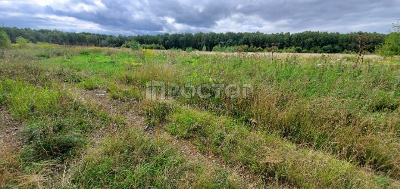 Участок, 7948 сот. - фото 3