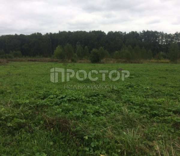Фото участка