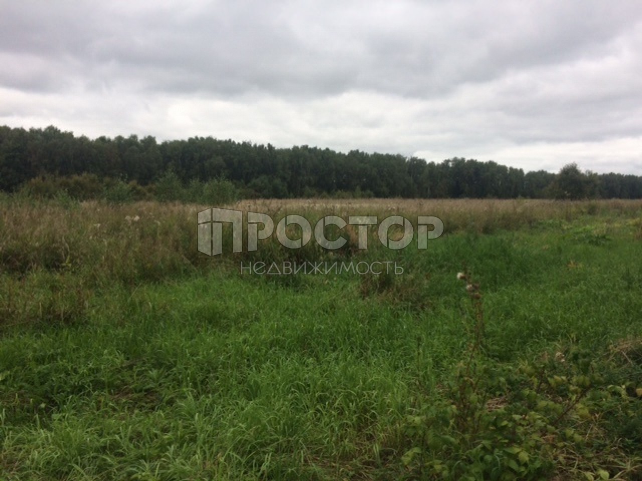 Участок, 16 сот. - фото 6