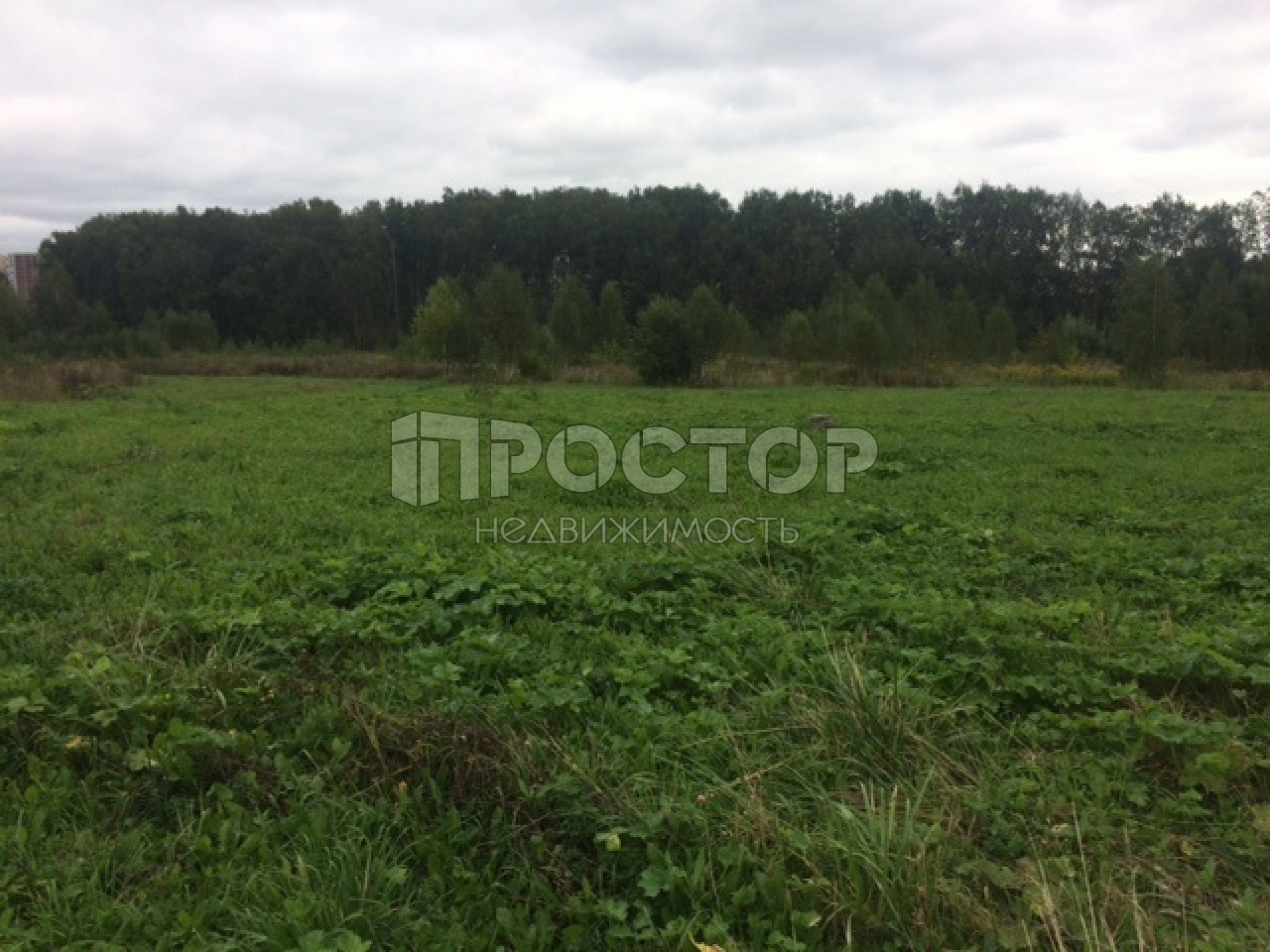 Участок, 16 сот. - фото 5
