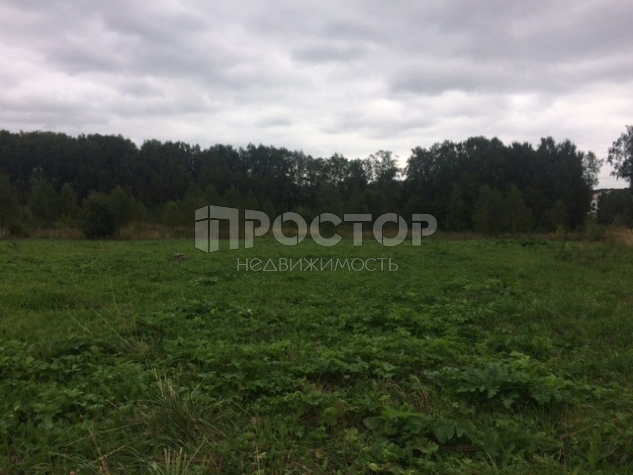 Участок, 16 сот. - фото 4