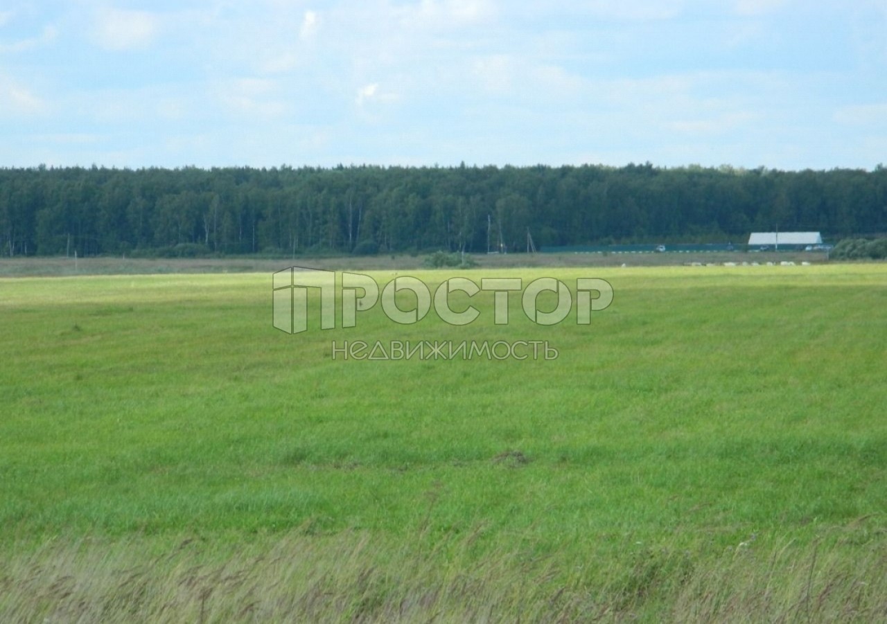 Участок, 100 сот. - фото 2