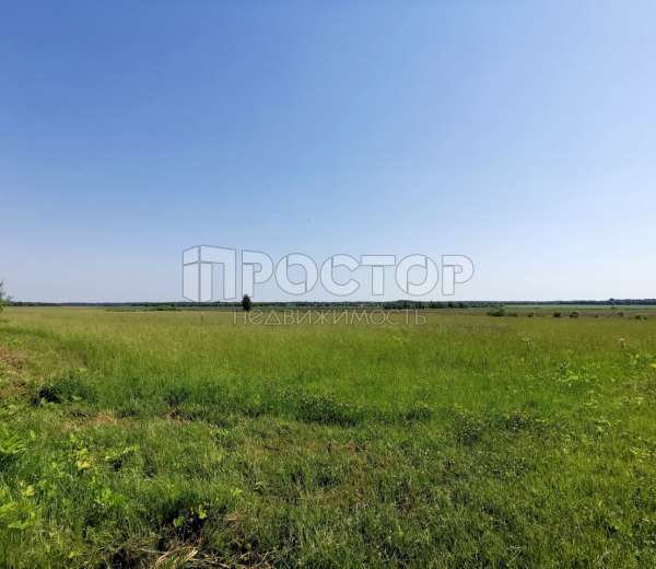 Фото участка