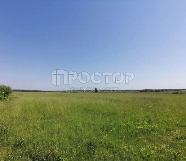 Фото участка