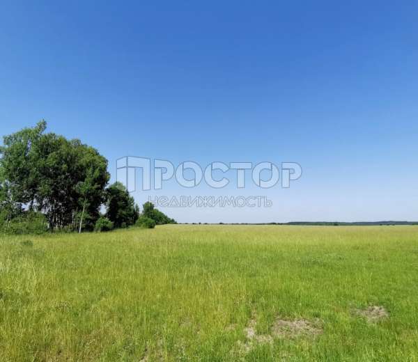 Фото участка