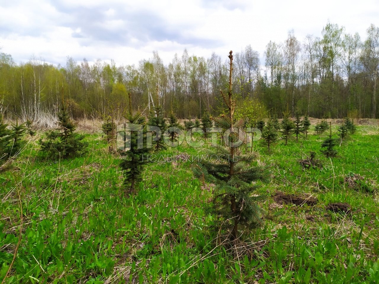 Участок, 20 сот. - фото 4