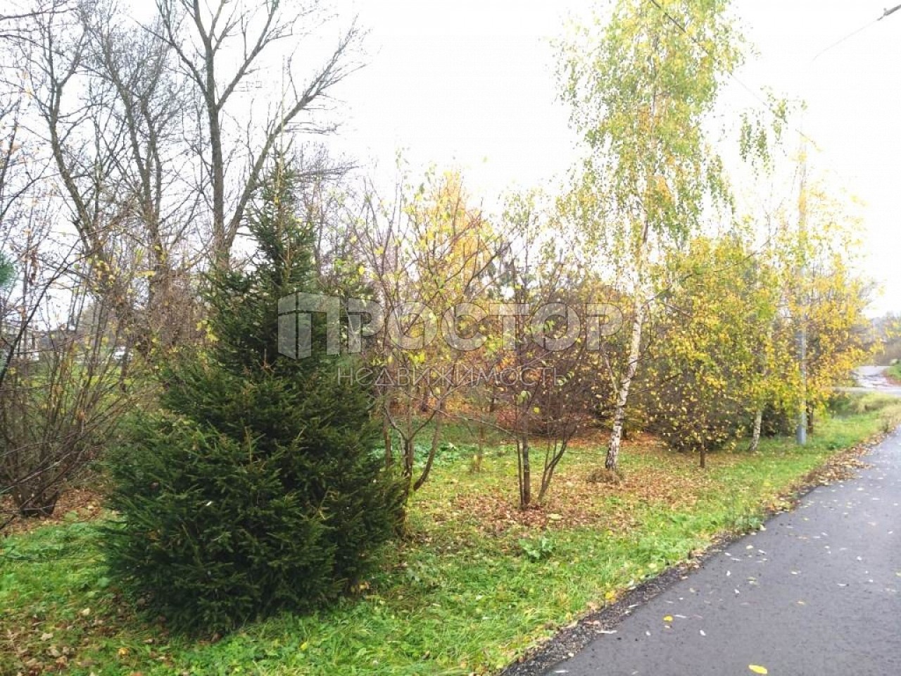 Участок, 20 сот. - фото 15
