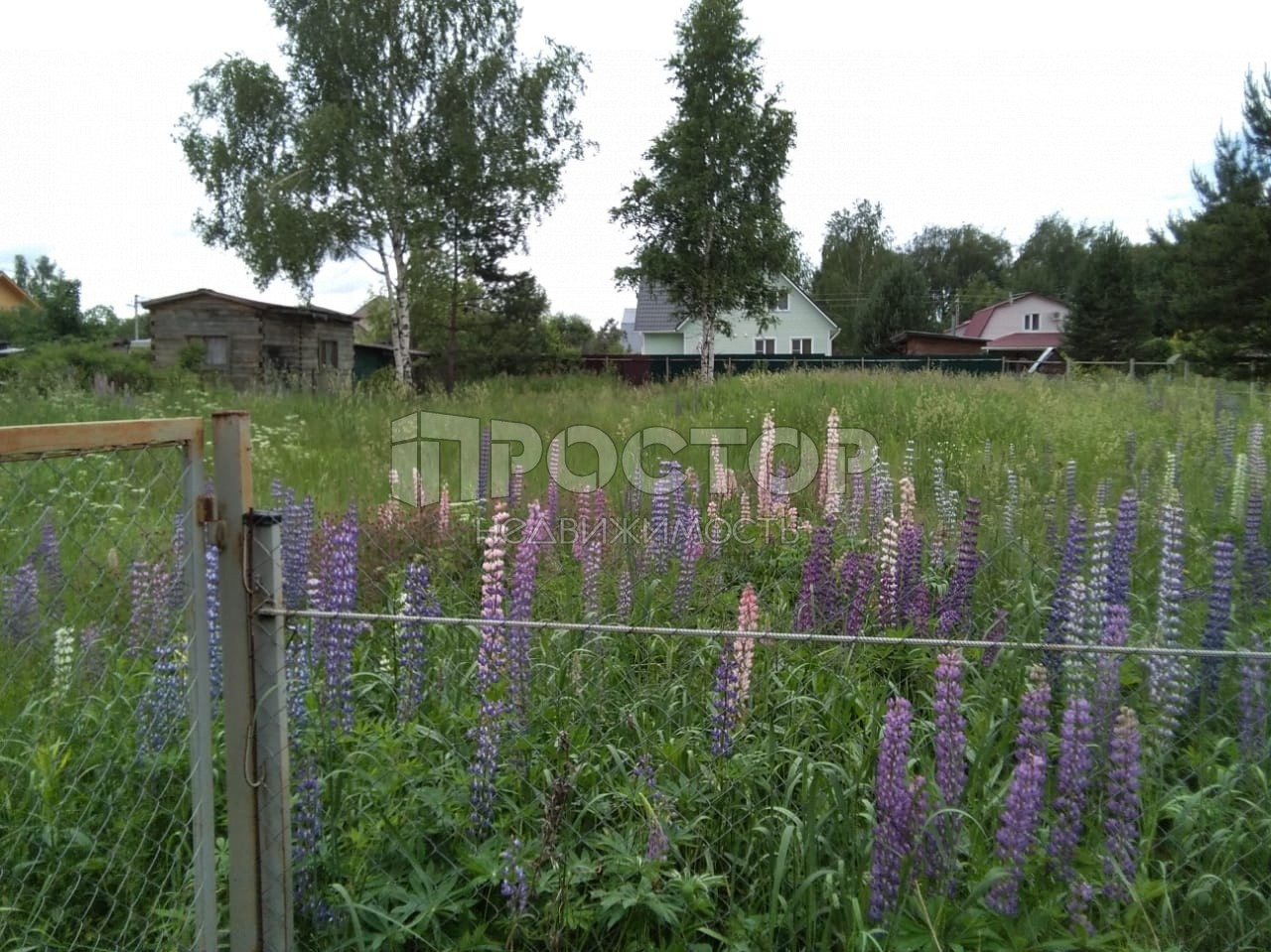 Участок, 8 сот. - фото 6
