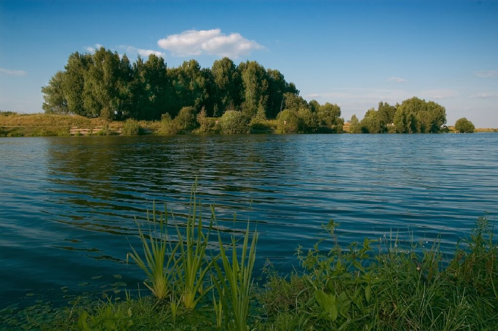 Участок, 30 сот. - фото 2