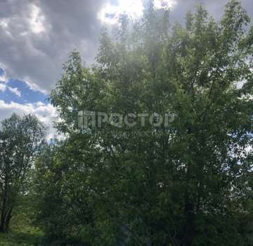 Купить земельный участок
