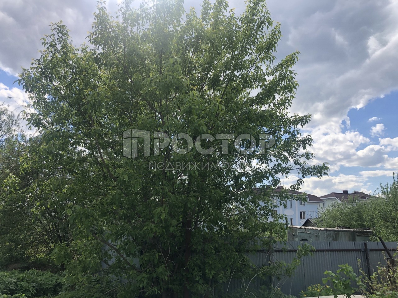 Участок, 5.5 сот. - фото 4