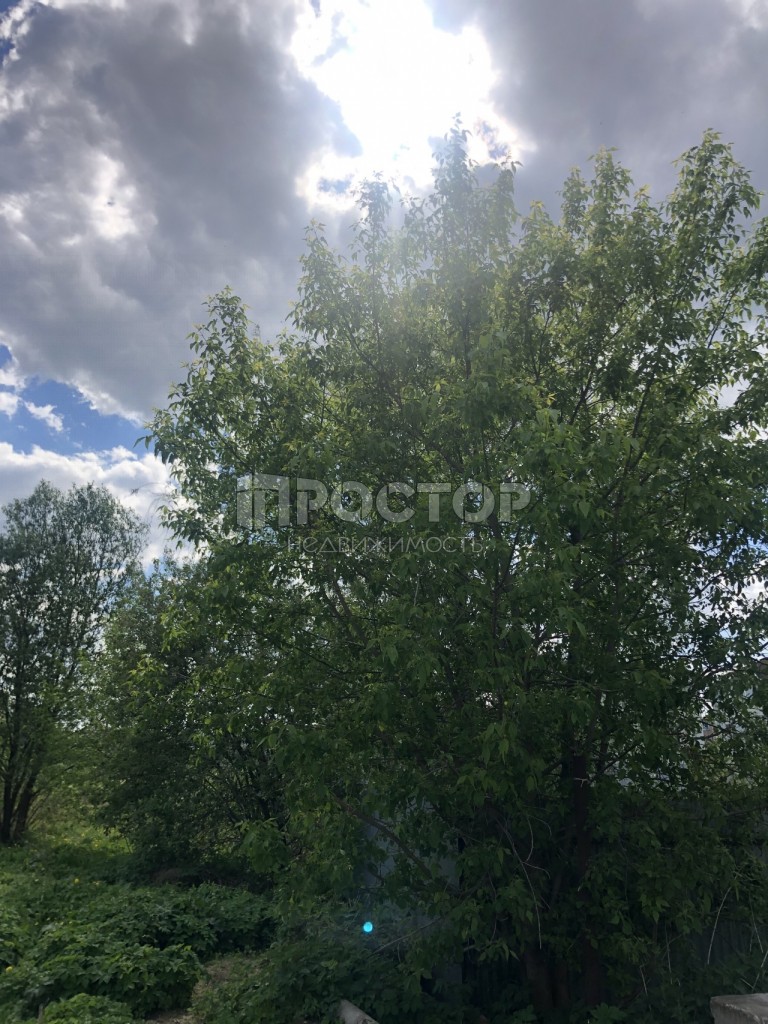 Участок, 5.5 сот. - фото 2