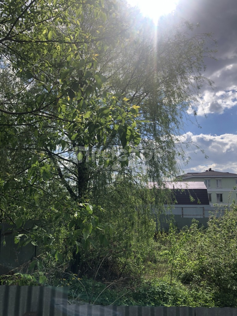 Участок, 5.5 сот. - фото 3