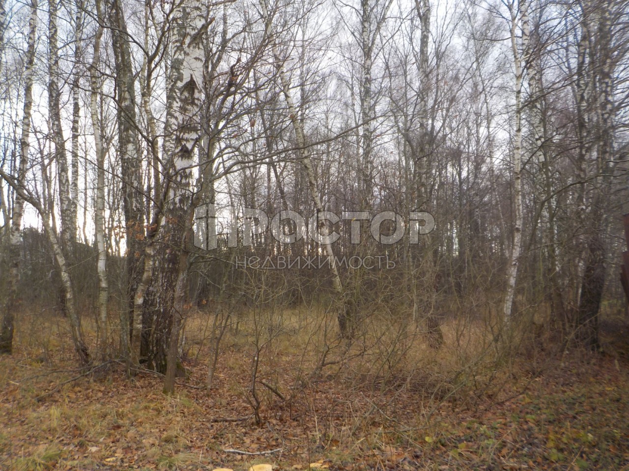 Участок, 12.6 сот. - фото 17