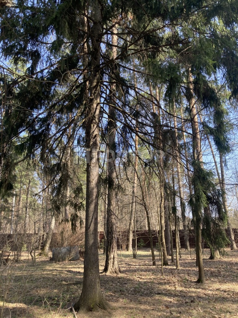 Участок, 8.7 сот. - фото 12