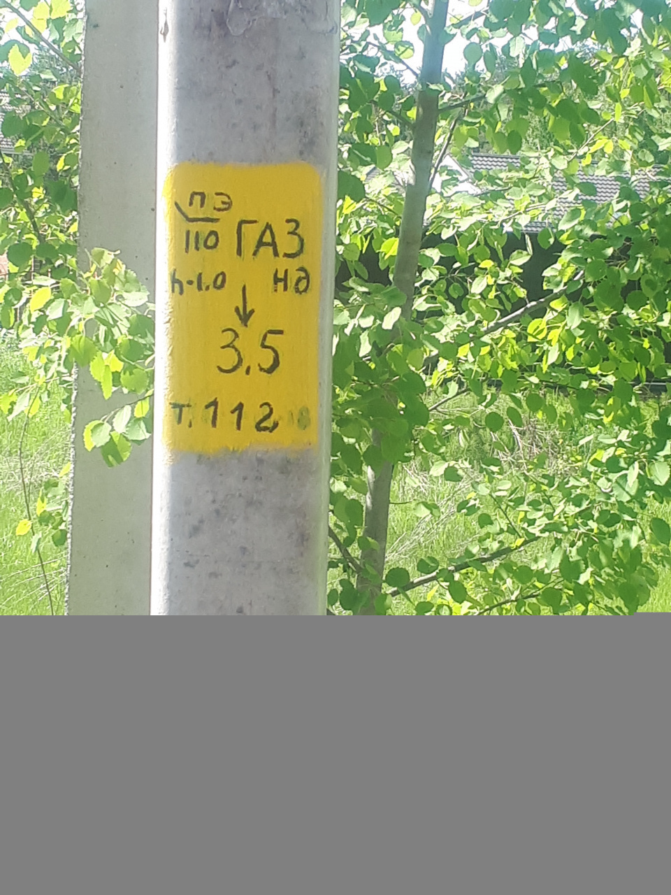 Участок, 17 сот. - фото 8