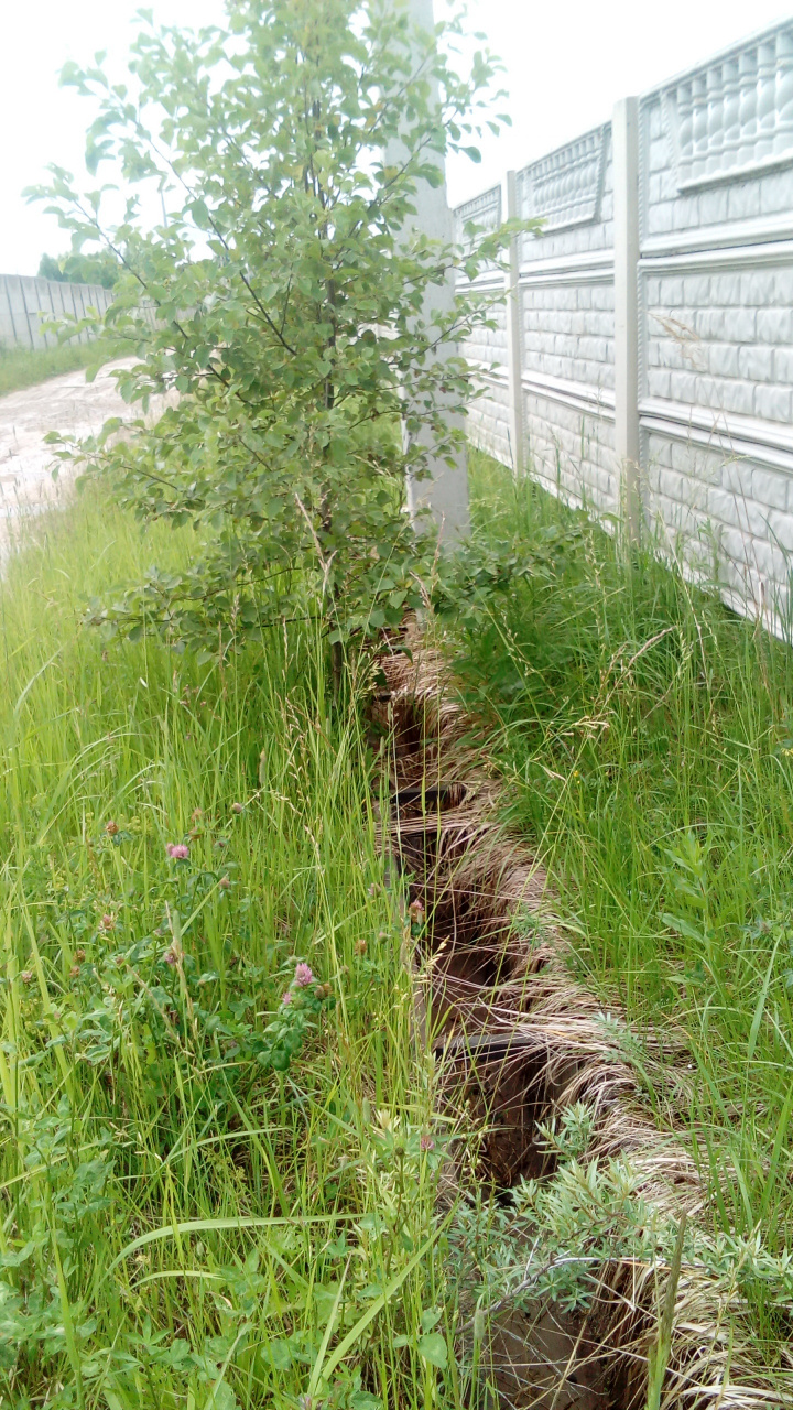 Участок, 25 сот. - фото 19