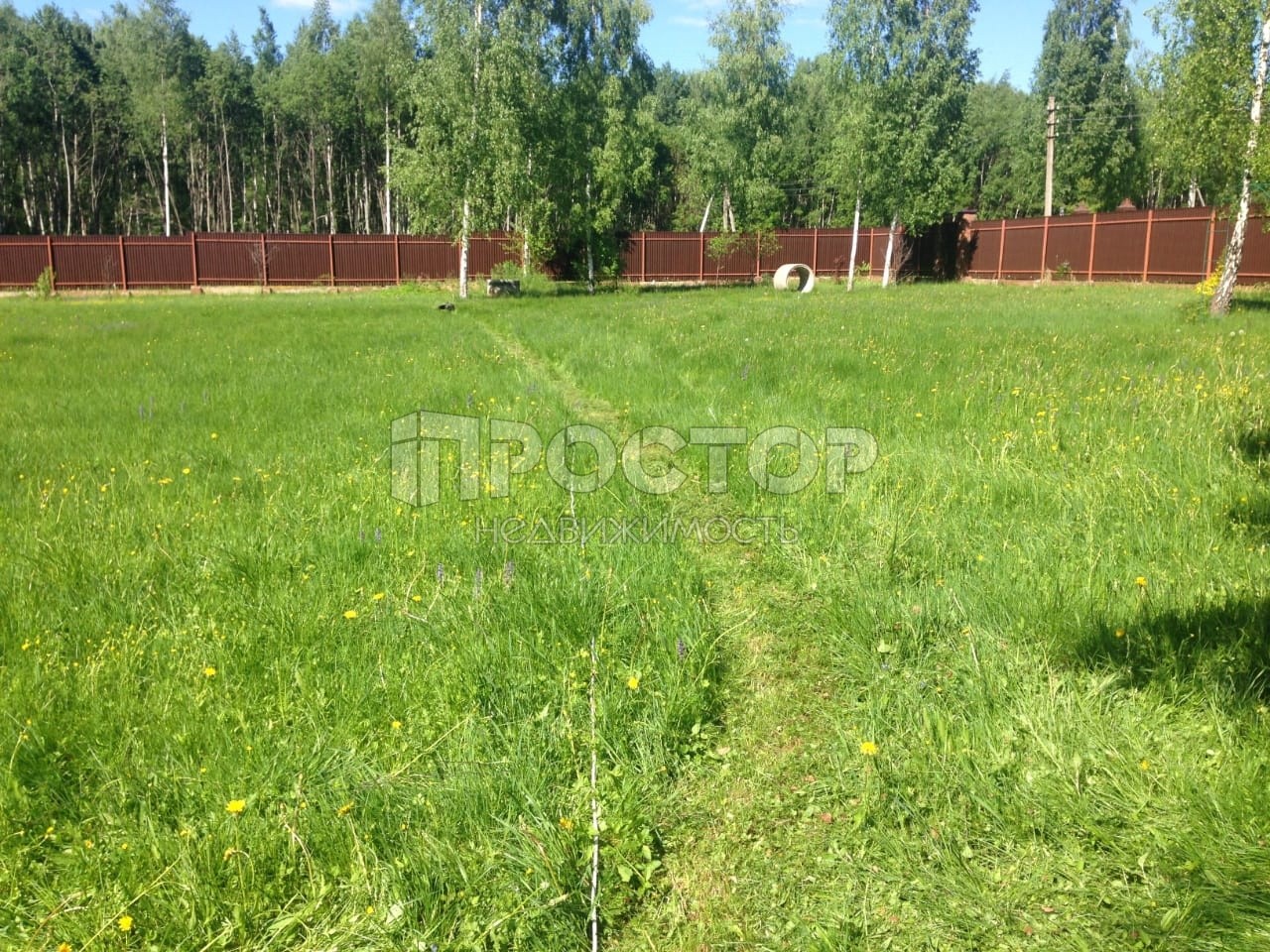 Участок, 24 сот. - фото 2