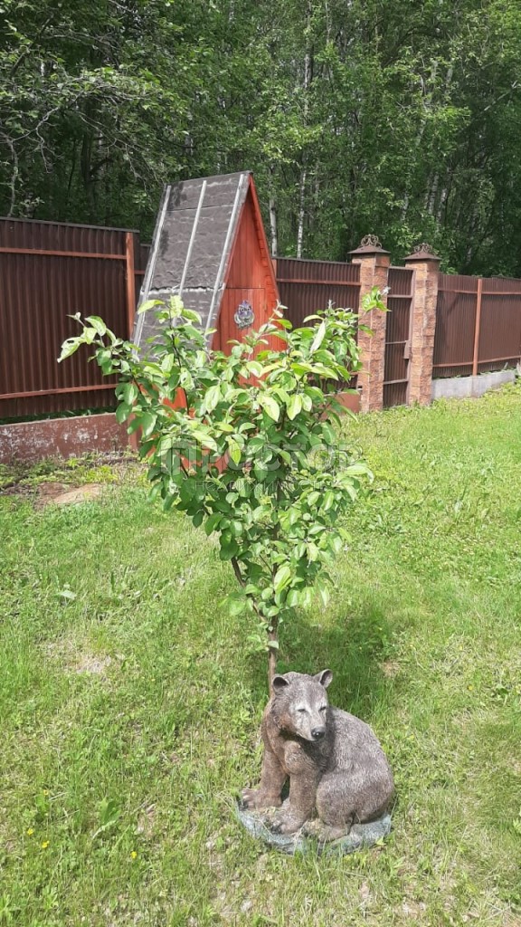 Участок, 24 сот. - фото 5