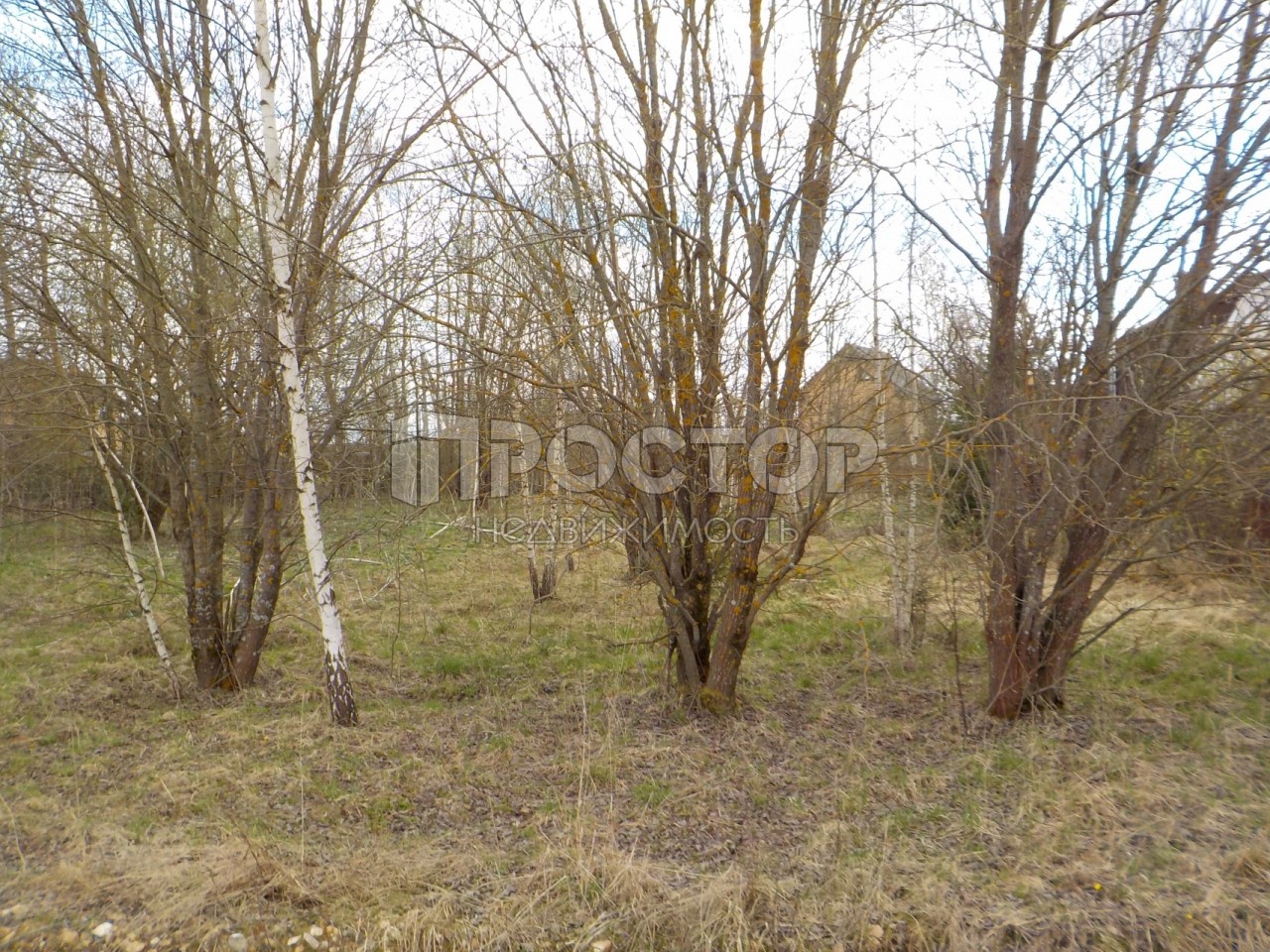 Участок, 15 сот. - фото 5