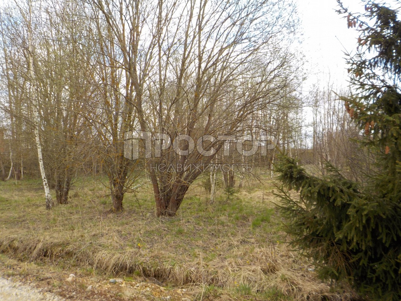 Участок, 15 сот. - фото 3