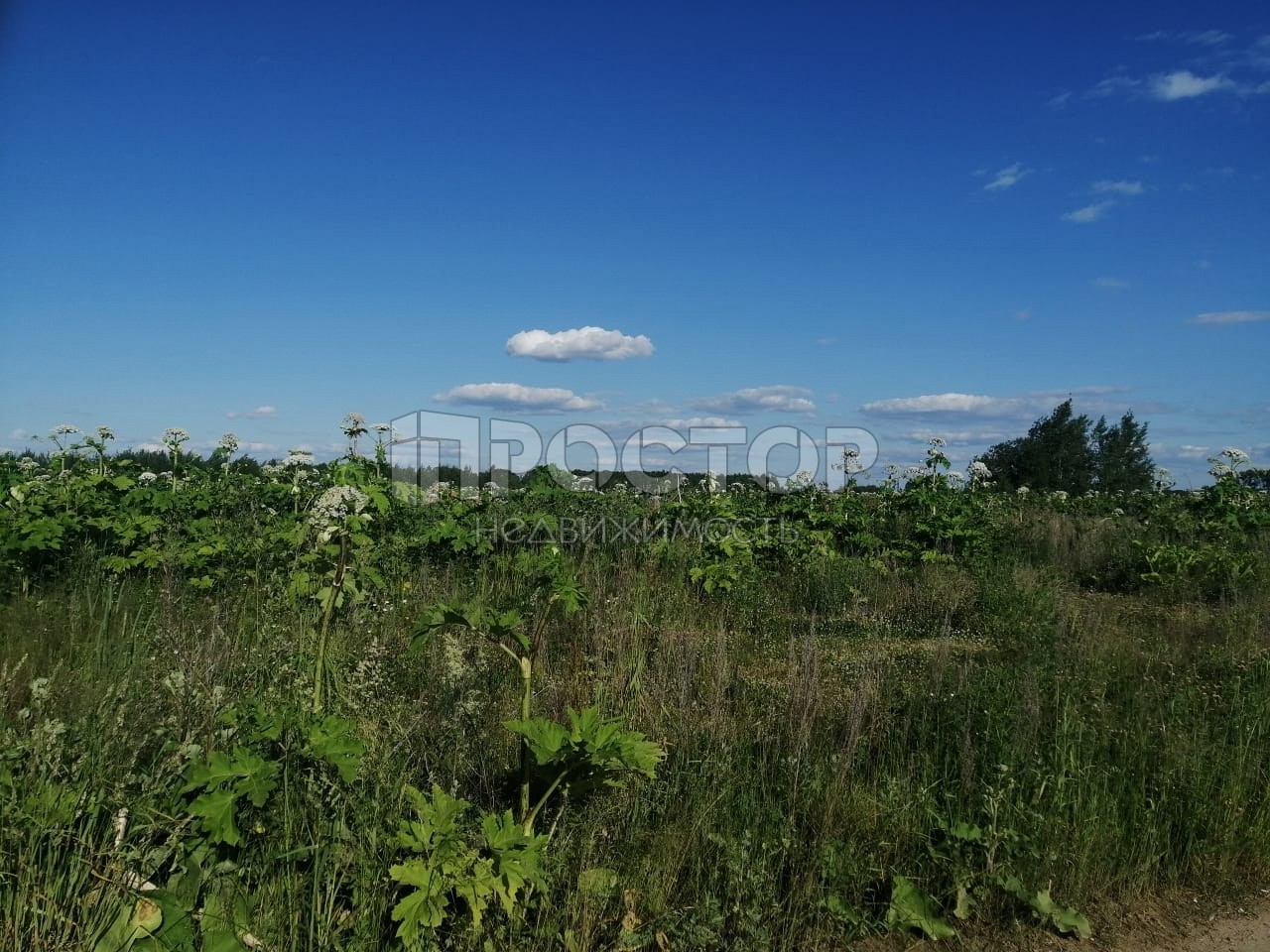 Участок, 250000 сот. - фото 5