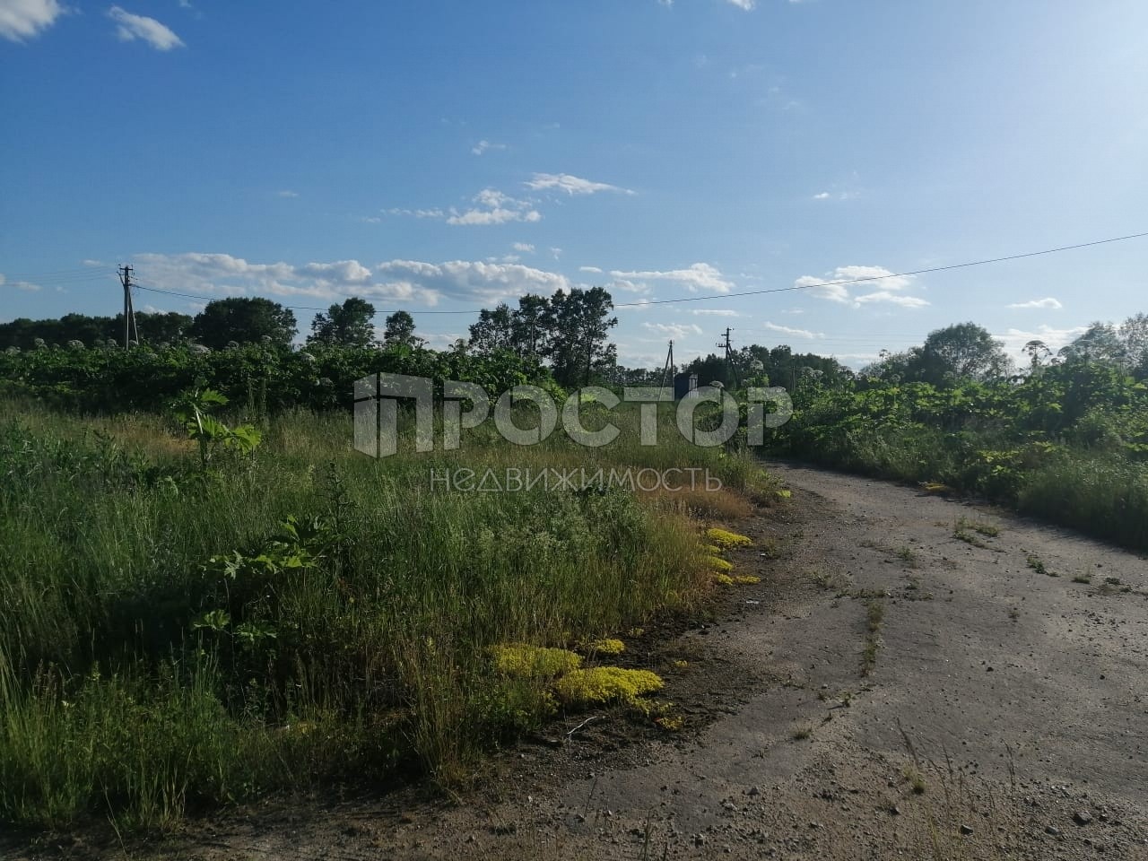 Участок, 250000 сот. - фото 6