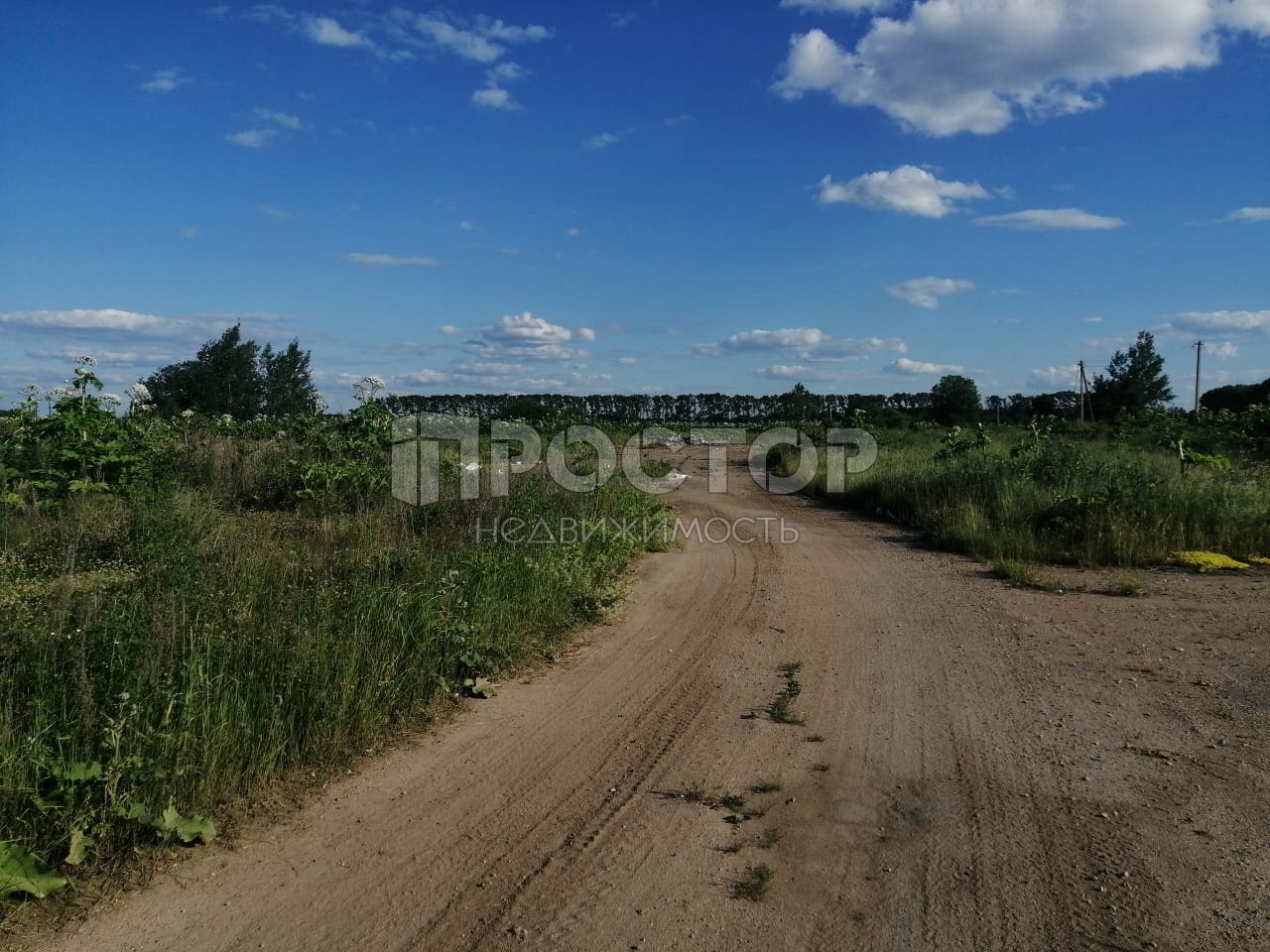 Участок, 250000 сот. - фото 3