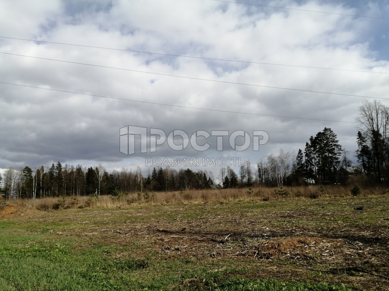 Участок, 280 сот. - фото 8