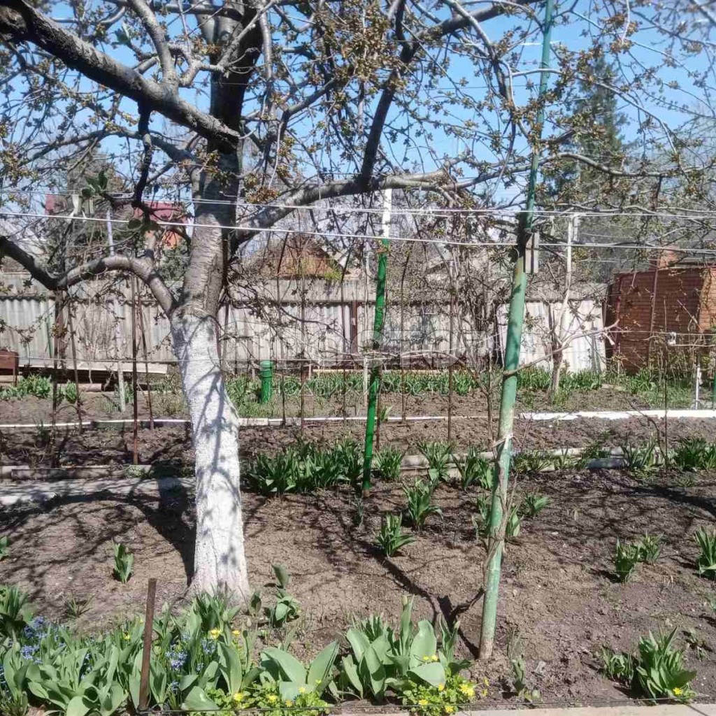 Участок, 6 сот. - фото 2