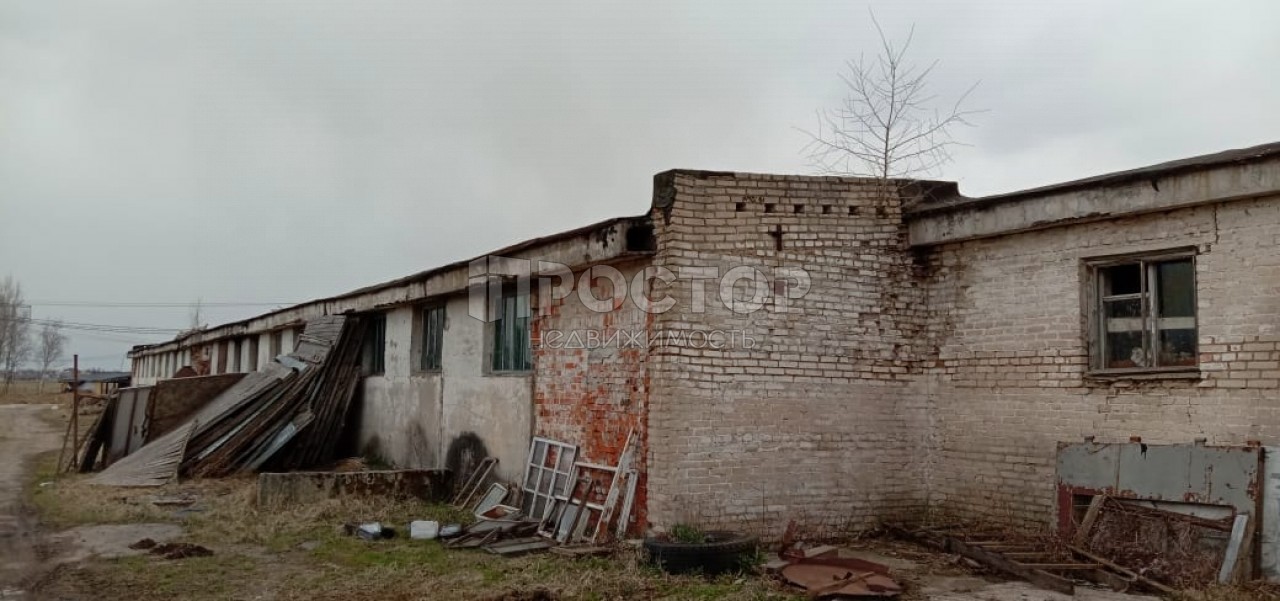 Участок, 66.7 сот. - фото 7