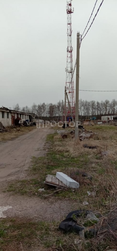 Участок, 66.7 сот. - фото 14