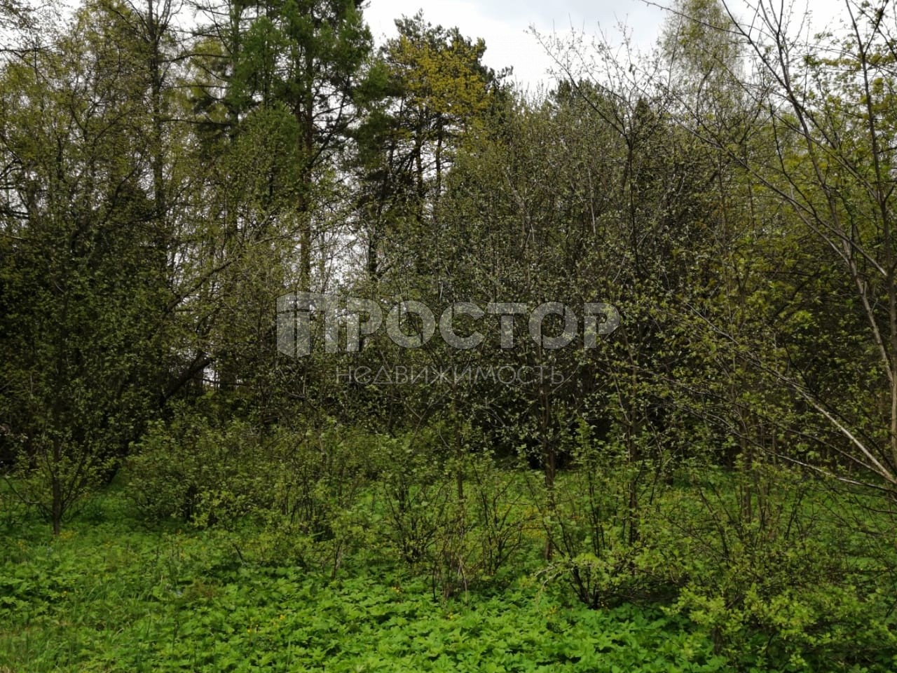 Участок, 30 сот. - фото 8