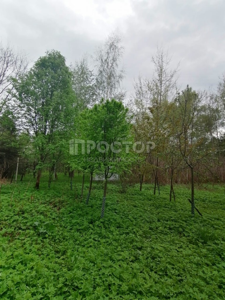 Участок, 30 сот. - фото 3