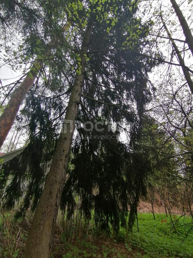 Участок, 30 сот. - фото 7