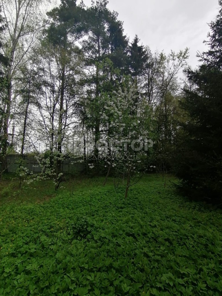 Участок, 30 сот. - фото 6