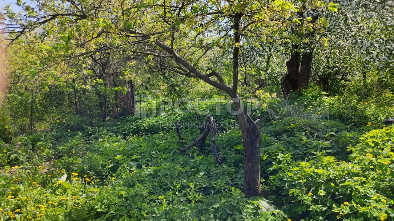 Участок, 15 сот. - фото 9